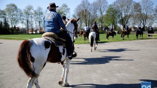 Rijvereniging Rijlust Ospel bestaat 40 jaar