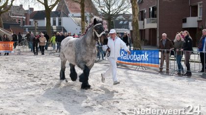 Paarden jaarmarkt in Weert