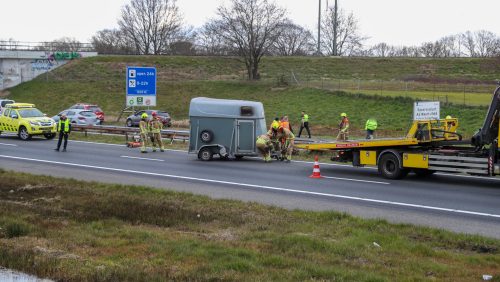 Paardentrailer-stuitert-over-middenberm-A2-ter-hoogte-van-Kelpen-Oler-3