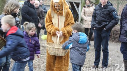 De paashaas was ook dit jaar weer gekomen in de Eynderhoof, er waren ongeveer 30 kinderen die samen met de paashaas in de tuin gingen zoeken naar eitjes.De kinderen zochten en vonden heel snel en enthousiast heel veel eitjes, nadat alle eitjes waren gevonden ging iedereen gezamenlijk naar de Herberg.Hier werden alle eitjes “getikt” en samen met de paashaas, vaders, moeders, opa`s en oma`s werden de eitjes opgesmikkeld.