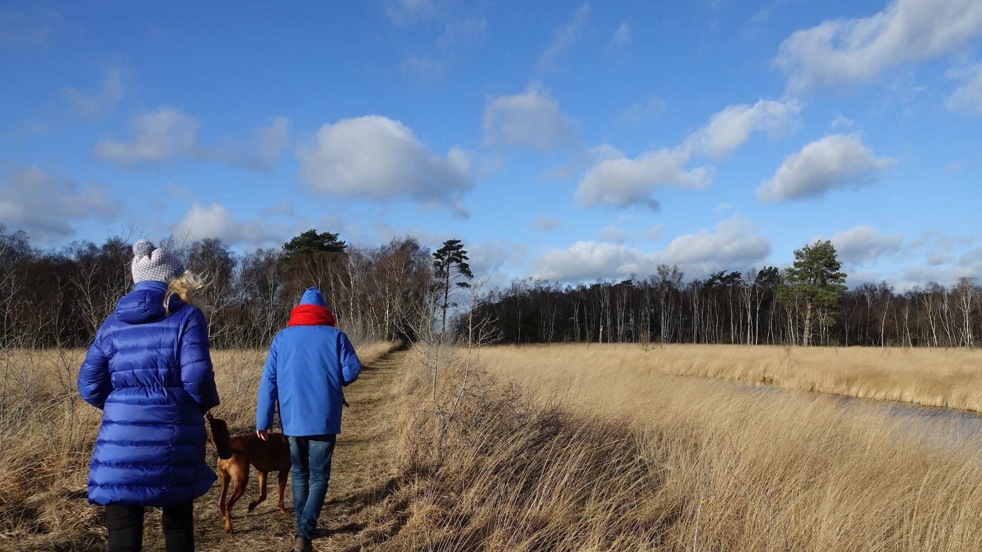 Foto | Marijke Vaes-Schroën | Staatsbosbeheer