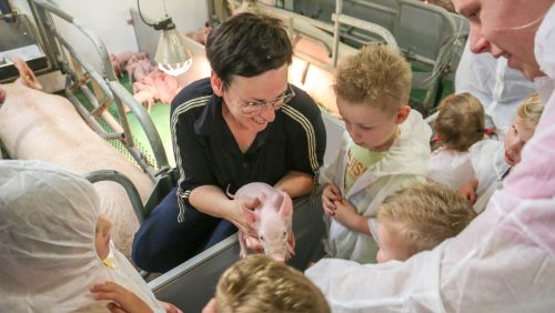 Peuters-IkOOK-bezoeken-familie-Gielen-Boeren-van-Nederweert-13