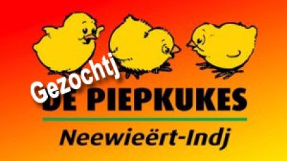 Piepkukes-300x188-gezochtj