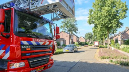 Poes-op-dak-woning-Zandstraat-Ospeldijk-3