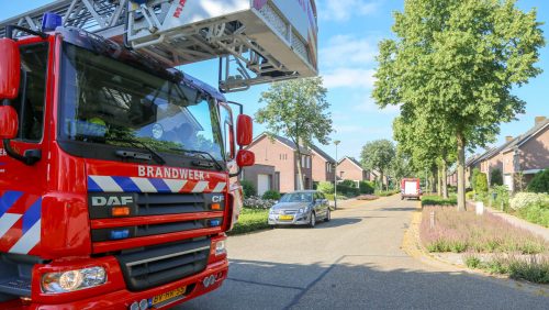 Poes-op-dak-woning-Zandstraat-Ospeldijk-3