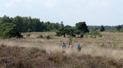 Proef-de-Peel-met-Pinksteren-Marijke-Vaes-Schroen