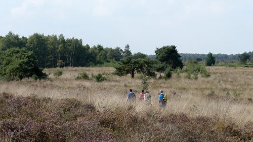 Proef-de-Peel-met-Pinksteren-Marijke-Vaes-Schroen