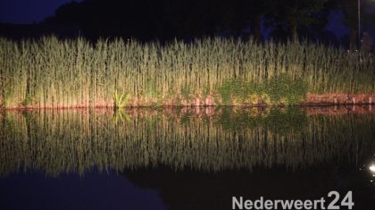 De brandweer van Nederweert is dinsdagavond uitgerukt voor een ree wat in het water gezien was.