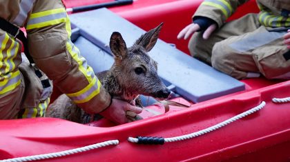 Ree-te-water-Noordervaart-Hoeven-Venloseweg-N275-Ospel-5