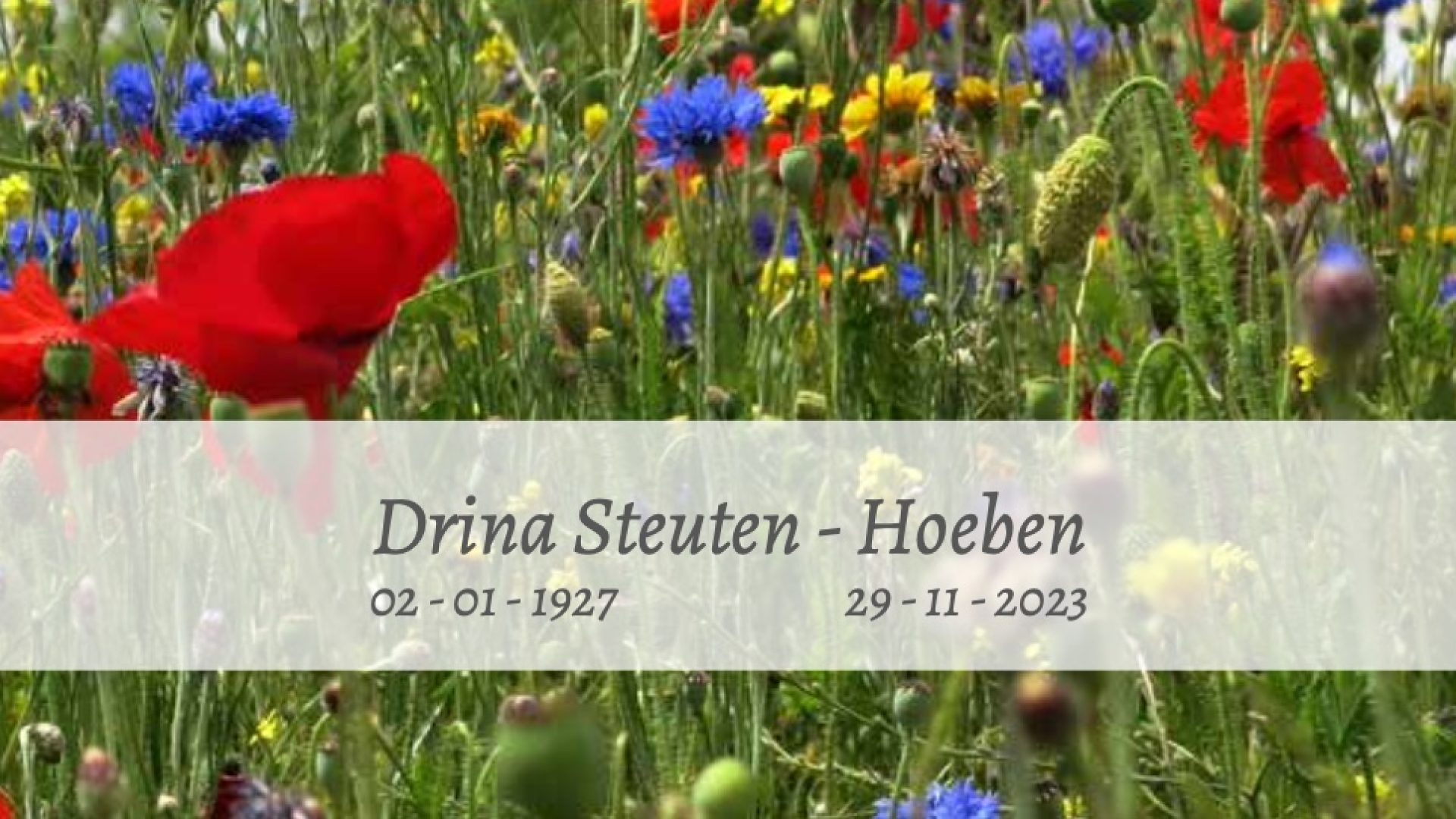 Rouwadvertentie-Drina-Steuten-Hoeben-2