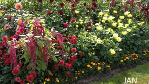 Rouwadvertentie-Jan-Truijen-bloemen