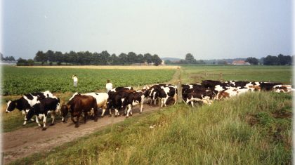 Rouwkaart-Dhr-Pierre-van-Nieuwenhoven