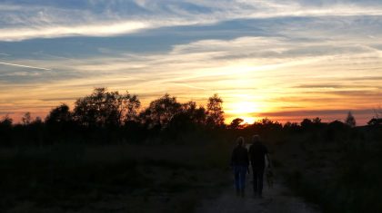 Schemerwandeling-in-Nationaal-Park-De-Groote-Peel