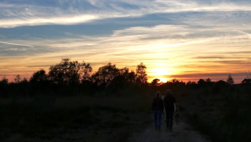 Schemerwandeling-in-Nationaal-Park-De-Groote-Peel