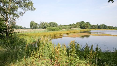 Schoorkuilen-Nederweert-oplevering-herstelproject-1