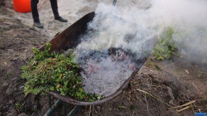 Snoeiafval-in-brand-Steutenweg