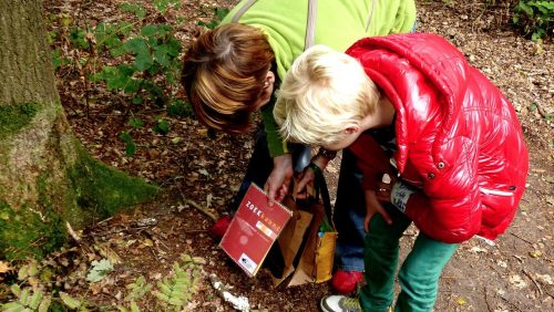 Sporenspeurtocht-in-De-Groote-Peel