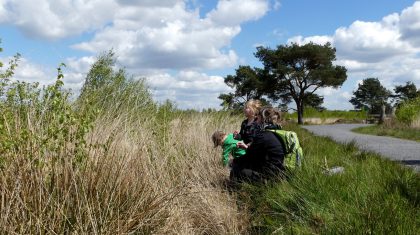 Staatbosbeheer-DePelen-wandeling-en-brunch