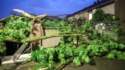 Stormschade-Geenestraat-Nederweert-6