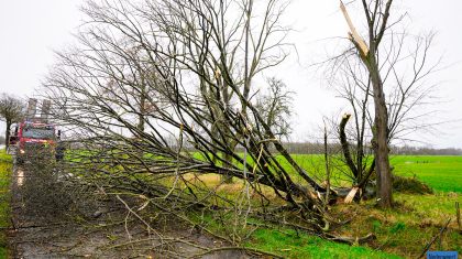 Stormschade-Wetering-N266-Nederweert-3