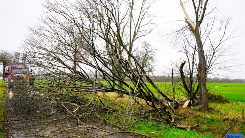 Stormschade-Wetering-N266-Nederweert-3