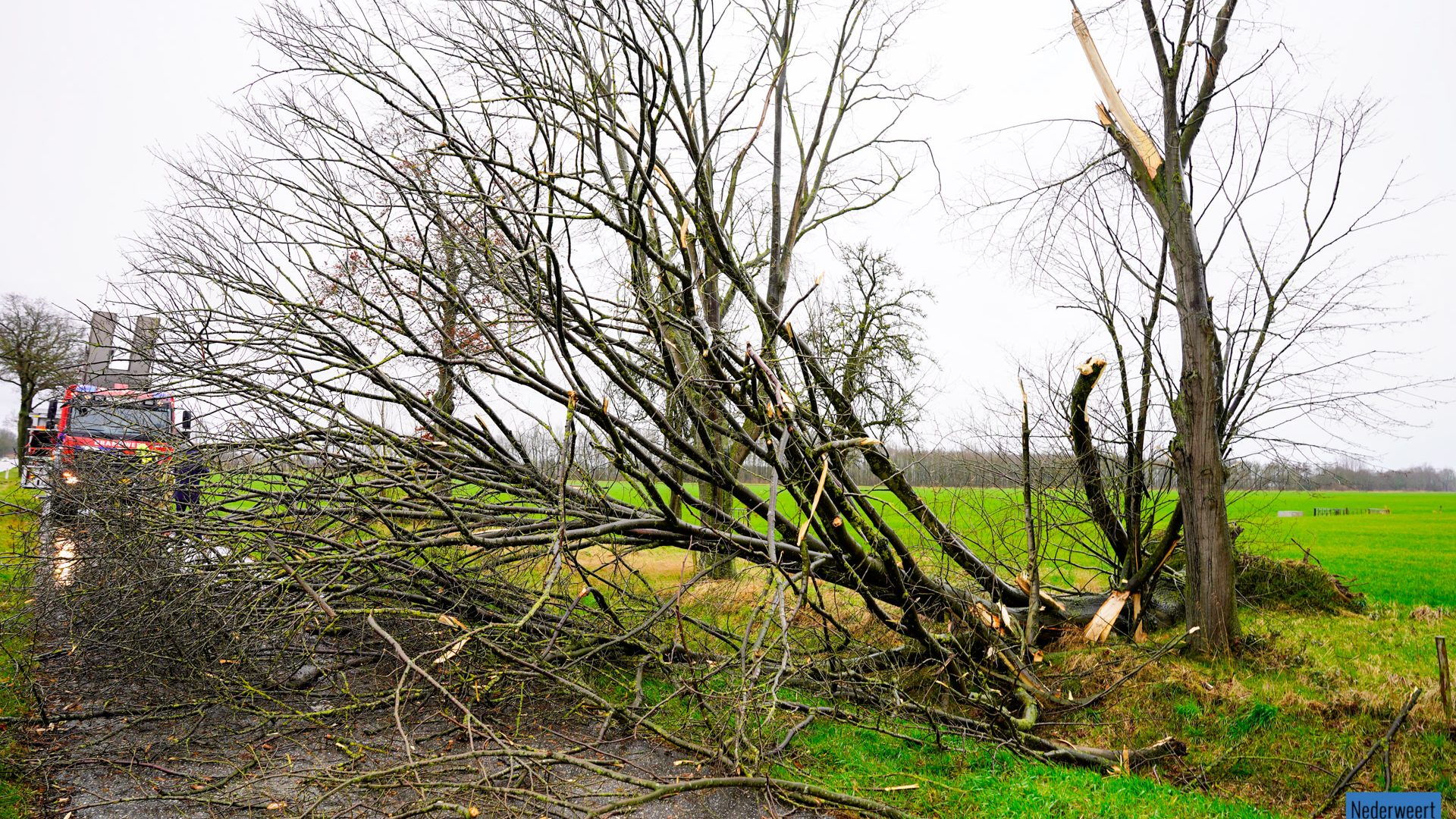 Stormschade-Wetering-N266-Nederweert-3