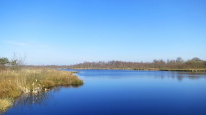 Taalwandeling-bij-de-Groote-Peel