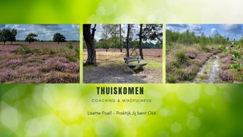 Thuiskomen