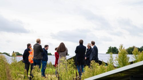 Tweede-Kamerlid-Silvio-Erkens-bezoekt-zonnepark-Altweerterheide