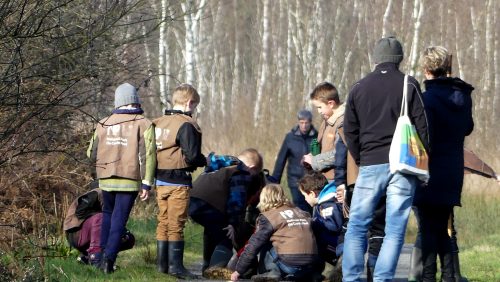 Vier-je-Kinderfeestje-in-de-Peel