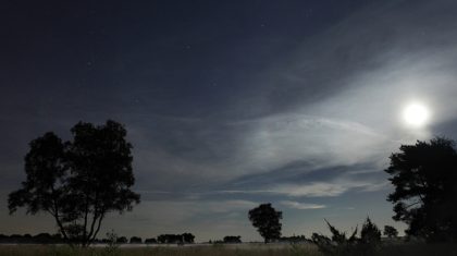 Volle-Maan-Wandeling