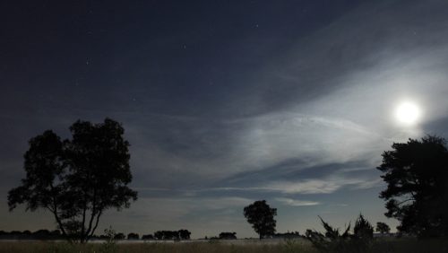 Volle-Maan-Wandeling