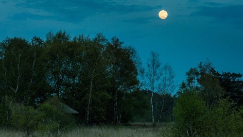 Volle-maan-in-De-Peel-foto-Nando-Harmsen