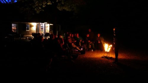 Vollemaan-in-De-Groote-Peel-Marijke-Vaes-Schroen-Staatsbosbeheer