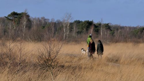 Wandel-het-jaar-uit-met-Staatsbosbeheer