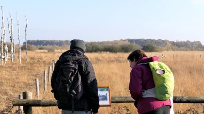 Wandel-in-het-spoor-van-de-turfsteker2