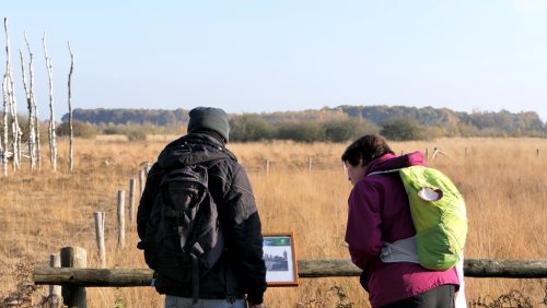 Wandel-in-het-spoor-van-de-turfsteker2