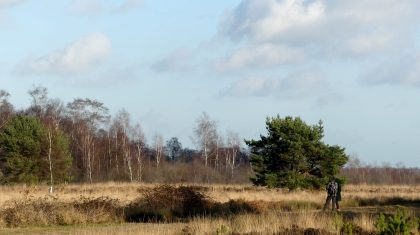 Wandel-naar-het-hart-van-De-Groote-Peel-Marijke-Vaes-Schroen