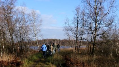 Wandel-naar-het-hart-van-de-Peel-wandelen