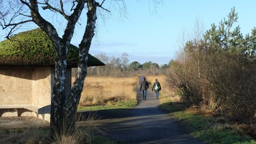 Wandelen-naar-het-hart-van-De-Groote-Peel-Marijke-Vaes-Schroen-Staatsbosbeheer