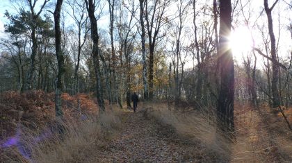 Winterse-Stiltewandeling