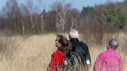 Winterstiltewandeling-Marijke-Vaes-SchroenStaatsbosbeheer