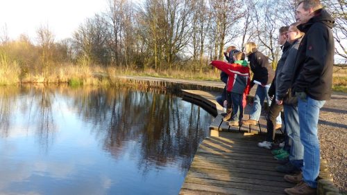 Winterwandeling-De-Groote-Peel