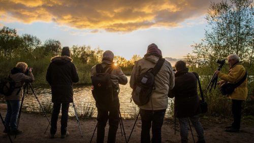 Workshops-fotografie-en-mindfulness-in-de-natuur-Nando-Harmsen