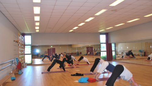 Yin-Yang-yoga-Nederweert