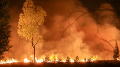 Zeer-grote-Peelbrand-nacht-22