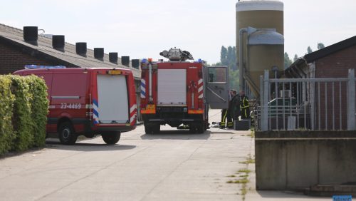 Zeugen-door-rooster-gezakt-Ospel