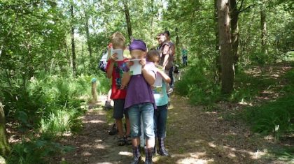 Zin-in-de-Zomertochten-De-Pelen