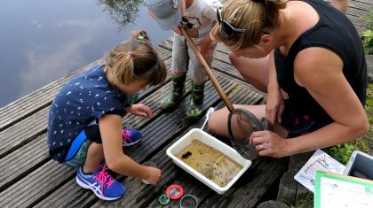 Zomertocht-De-Groote-Peel