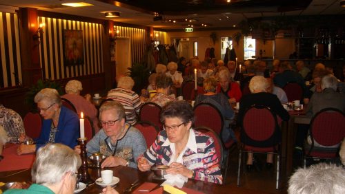 Zonnebloem-Nederweert-in-beweging